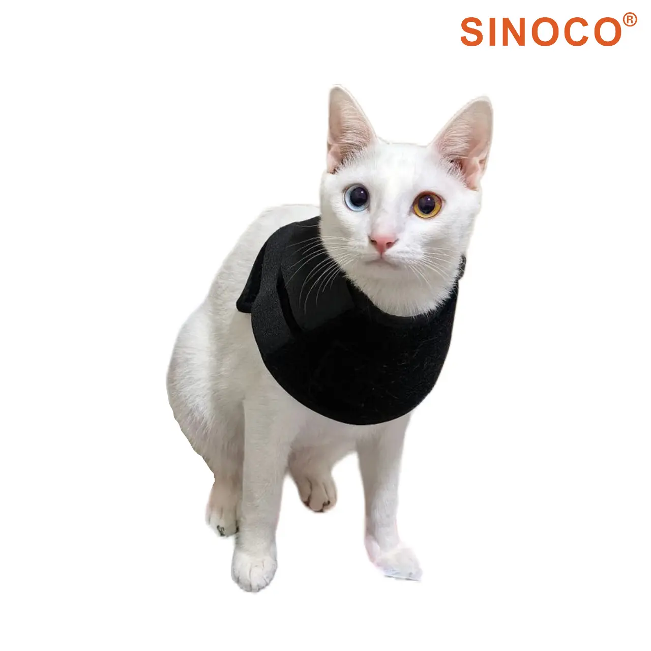 Red Light Therapy Wrap for Cats